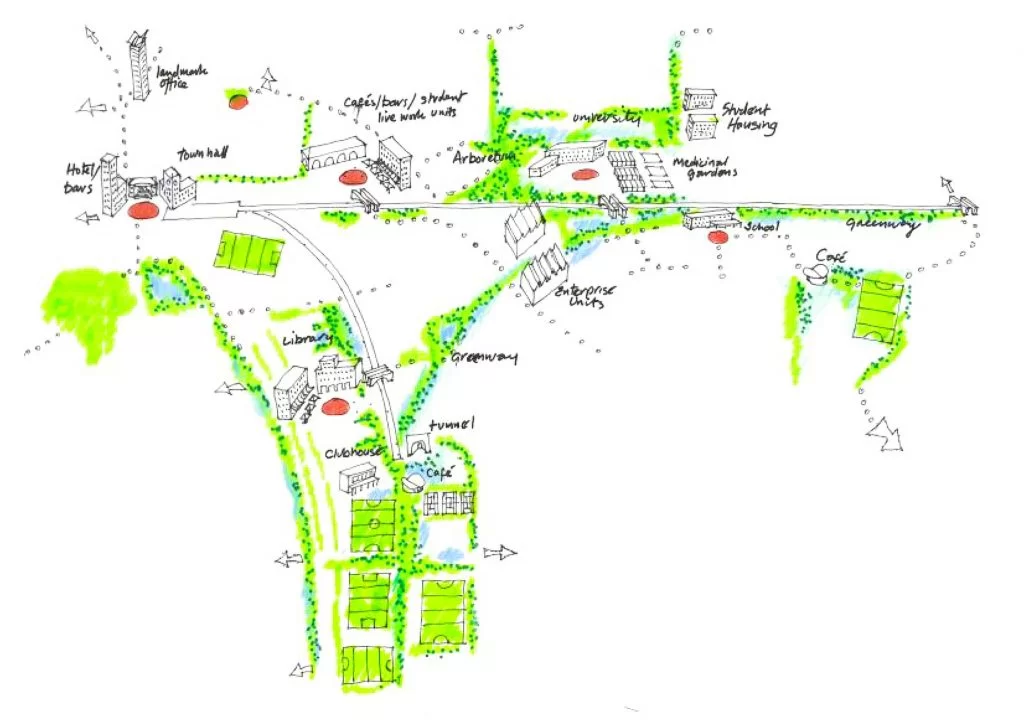 Anne Kiernan, Transport Infrastructure Ireland