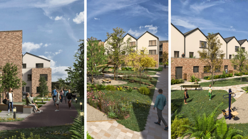 Priory Fields CGIs Phase 1